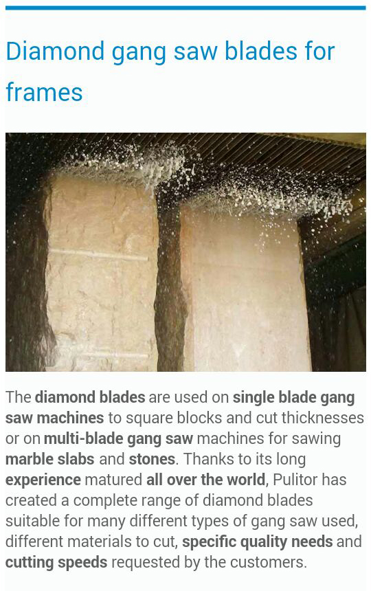 Gangsaw Blades